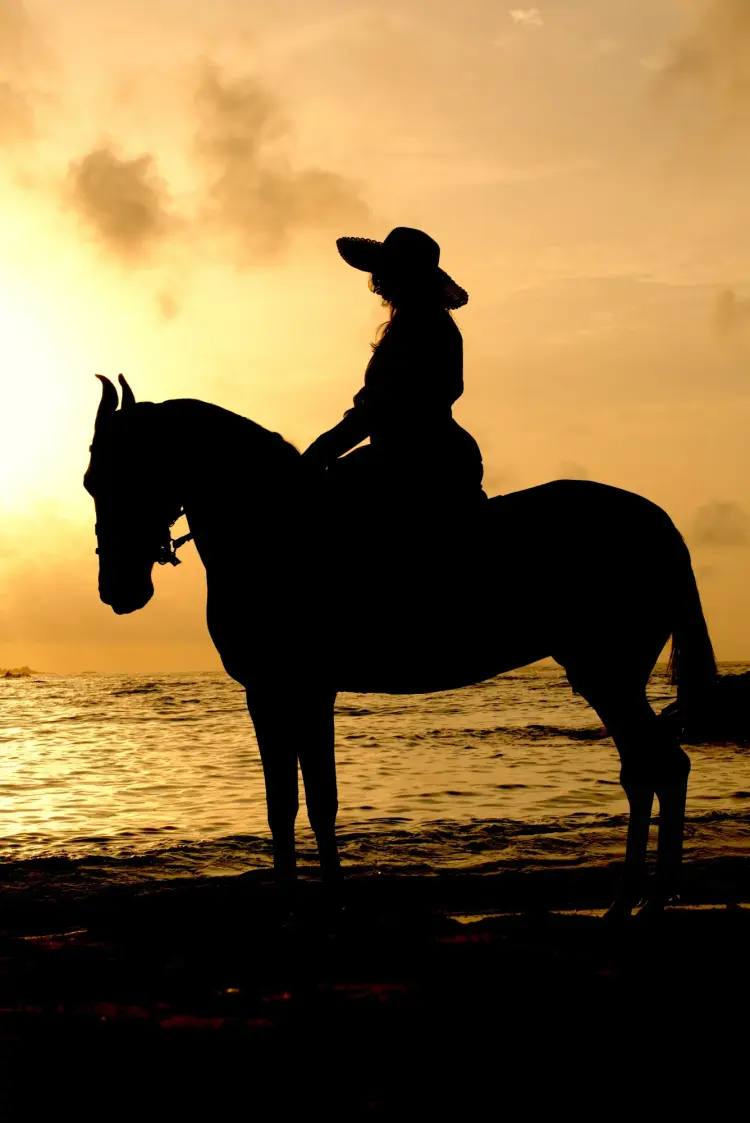Island Stables