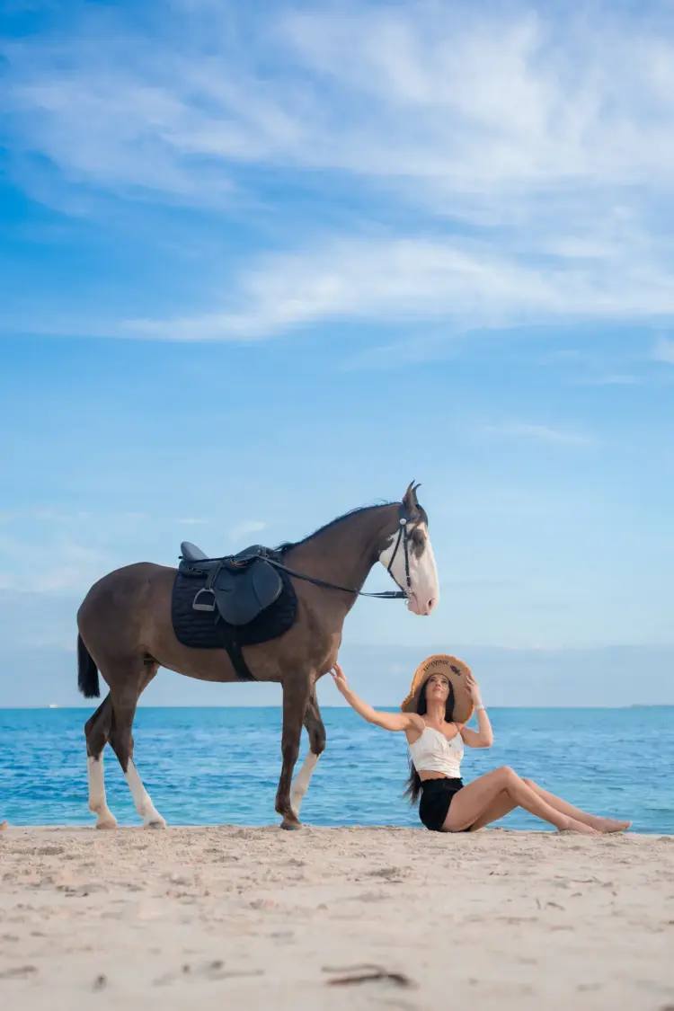 Island Stables