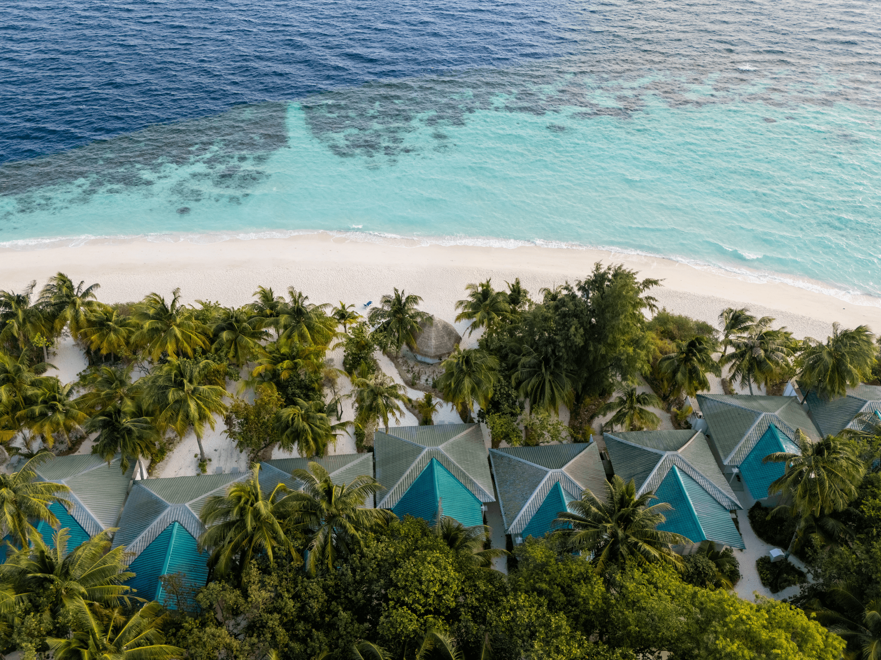 Eri Maldives
