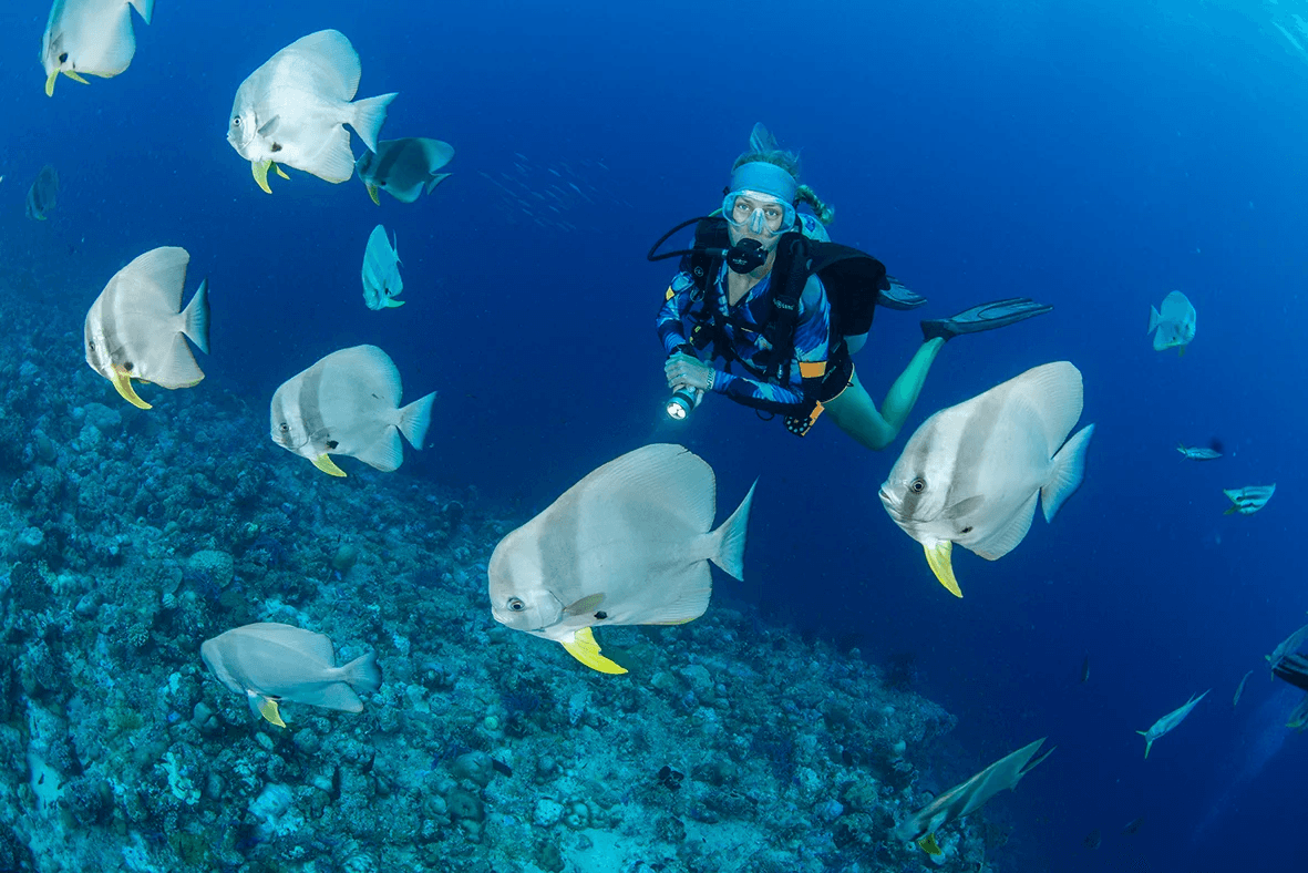 Divers